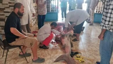 تفاصيل صادمة عن جثة السائح الروسي الذي التهمته سمكة القرش في الغردقة بمصر !