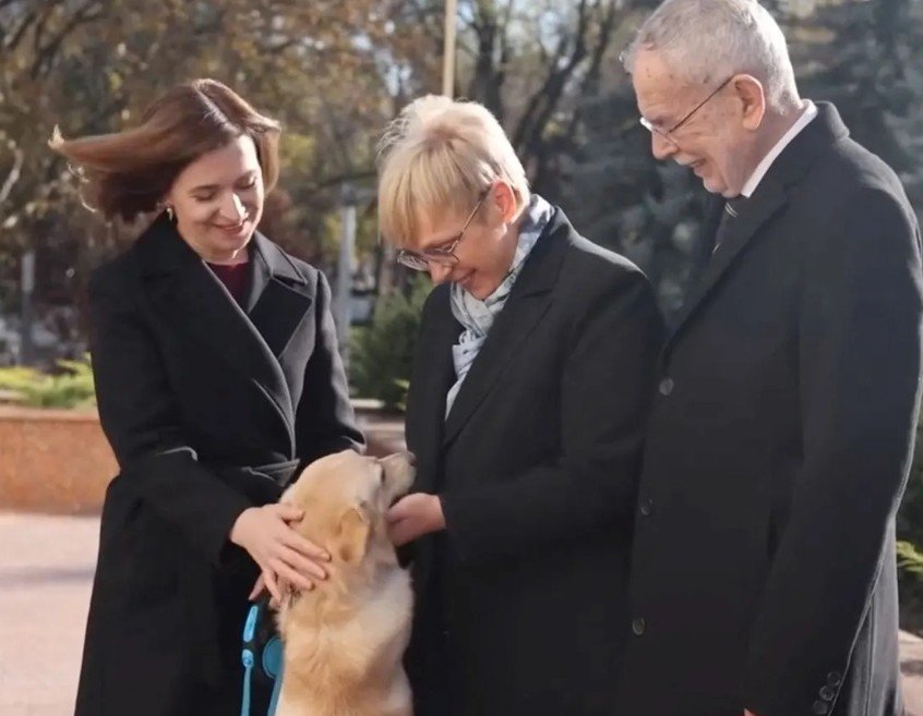 كلب الرئيسة المولدافية يعض رئيس النمسا خلال زيارة رسمية