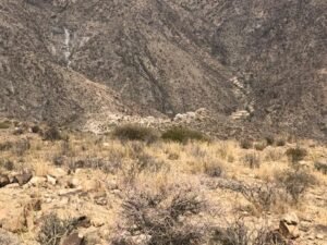 مدير عام مديرية الشعيب يشدد على ضرورة التعاون والمشاركة في إنجاز مشروع طريق المحولة بخال وادي بنا