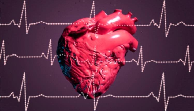 2158d80a 02be 43c0 973c 3c35679a4333 - نصائح مهمة للحفاظ على صحة قلبك