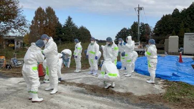 - محافظة يابانية تعلن نيتها إعدام نحو 110 آلاف دجاجة بسبب تفشي إنفلونزا الطيور