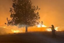 IMG 20240727 091636 - حرائق الغابات في «أوريغون» الأمريكية تدمر مساحة تتجاوز 1500 كيلومتر مربع