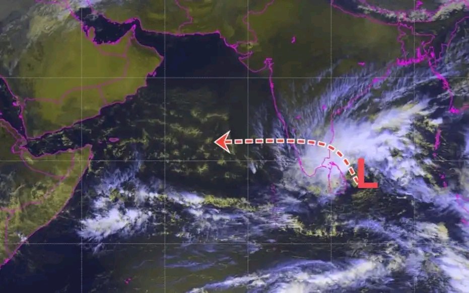 العاصفة نيوز