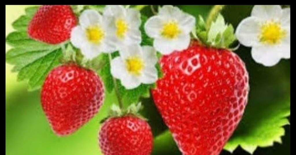 1770666206 D8A7D984D8A5D8AFD8AED8A7D8B120D8A7D984D985D8A7D984D98A20D8B7D8B1D9