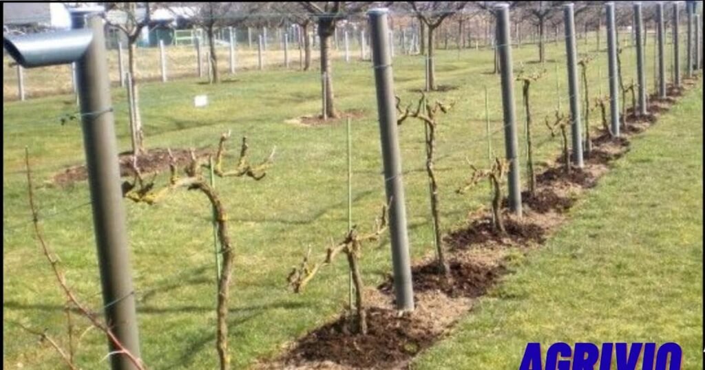 1770671246 D8A7D984D8A5D8AFD8AED8A7D8B120D8A7D984D985D8A7D984D98A20D8B7D8B1D9