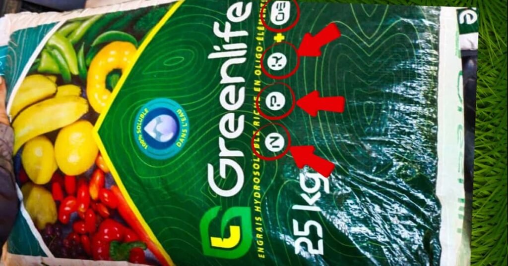 1771370500 D8A7D984D8A5D8AFD8AED8A7D8B120D8A7D984D985D8A7D984D98A20D8B7D8B1D9