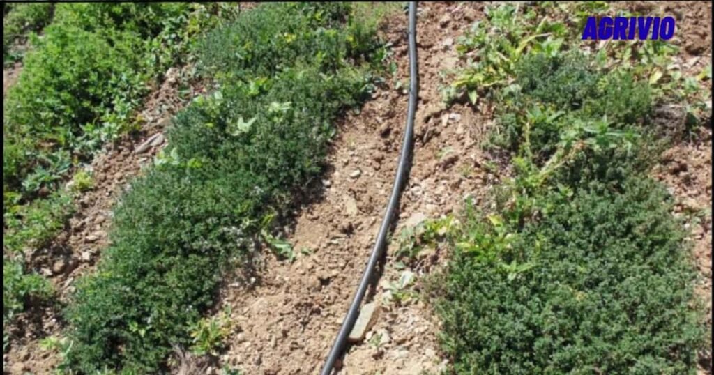 أفضل وقت، أفضل طريقة، وأخطاء يجب تجنبها 1771887880 D8A7D984D8A5D8AFD8AED8A7D8B120D8A7D984D985D8A7D984D98A20D8B7D8B1D9