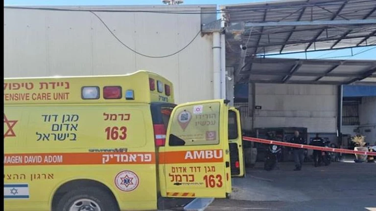 "جلدتهما بالحزام والعصا".. ضابطة إسرائيلية تعذّب مجندتين داخل قاعدة عسكرية 2024 7 3 12 39 48 91.webp