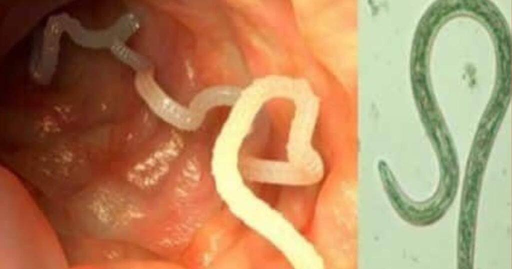 Ajouter20un20titre2014