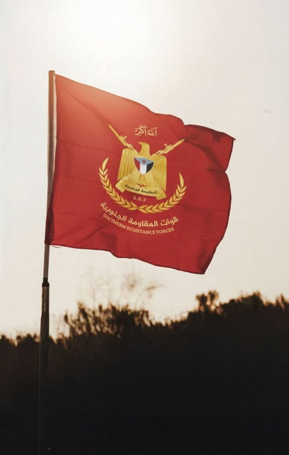 FB IMG 1771281979810