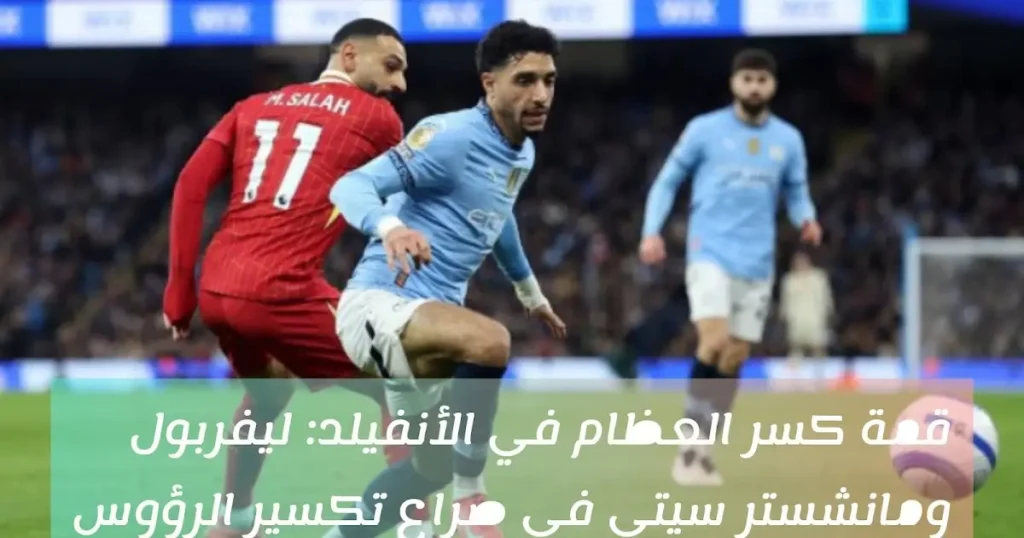 InShot 20260205 150551693