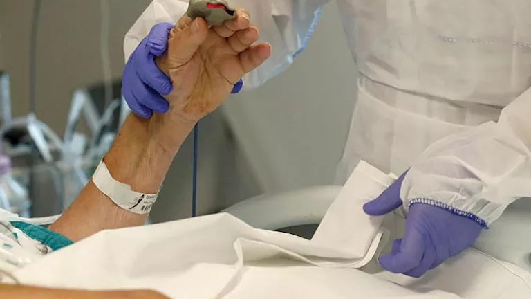 إيطاليا تعلن ظهور أول حالة أوروبية مصابة بأنفلونزا الطيور 2026 3 26 14 38 32 914.webp