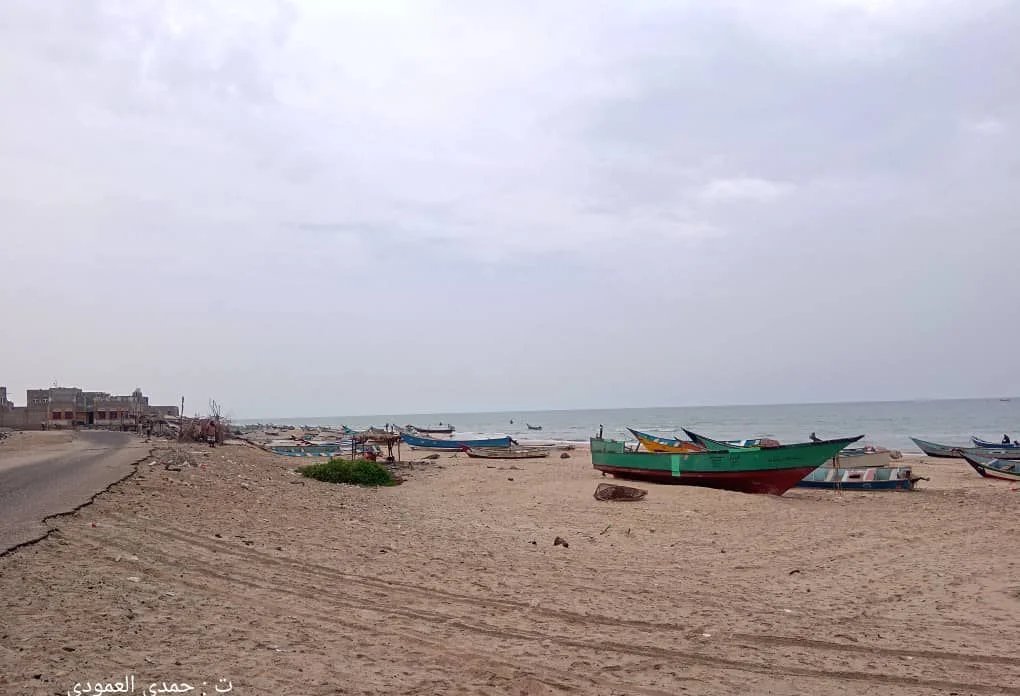 شباب البندر والمساني بأحور يمشطون البحر بحثاً عن الشقيقين المفقودين منذ أيام IMG 20260415 WA00122