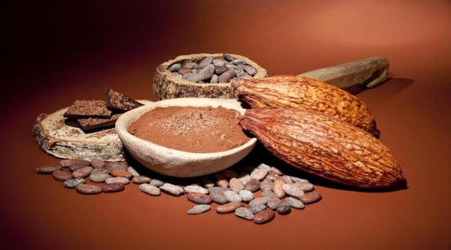 دراسة حديثة تكشف مدى تأثير الكاكاو على العين دراسة حديثة تكشف مدى تأثير الكاكاو على العين