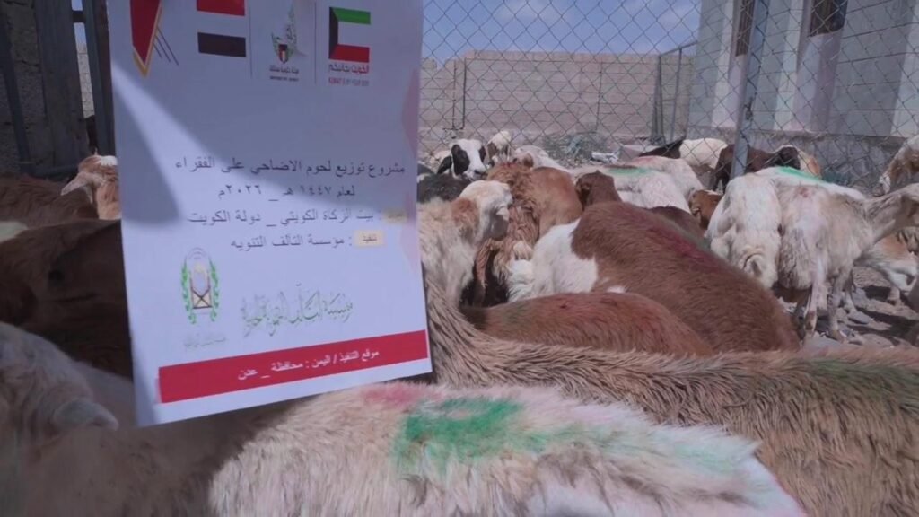 SAVE ٢٠٢٦٠٥٣١ ٠٨٣٤٢٠