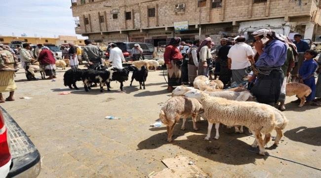 فضيحة تهز تعز… كيف حرم "إخوان اليمن" فقراء تعز من أضاحي العيد؟ فضيحة تهز تعز... كيف حرم "إخوان اليمن" فقراء تعز من أضاحي العيد؟