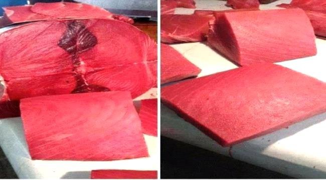 ارتفاع جنوني في أسعار الأسماك بعدن اليوم الجمعة 17 يوليو 2026م ارتفاع جنوني في أسعار الأسماك بعدن اليوم الجمعة 17 يوليو 2026م