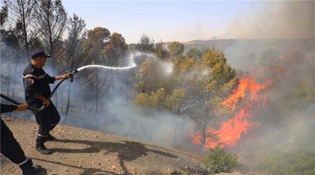 الجزائر تسجل 73 وفاة جراء حرائق الغابات ودفن جماعي لـ39 ضحية في ولاية جيجل الجزائر تسجل 73 وفاة جراء حرائق الغابات ودفن جماعي لـ39 ضحية في ولاية جيجل