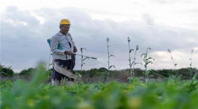 مبادرة دولية في اليمن لتعزيز الأمن الغذائي مبادرة دولية في اليمن لتعزيز الأمن الغذائي